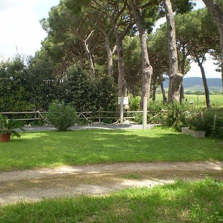 Agriturismo Ternova 알베레세 외부 사진