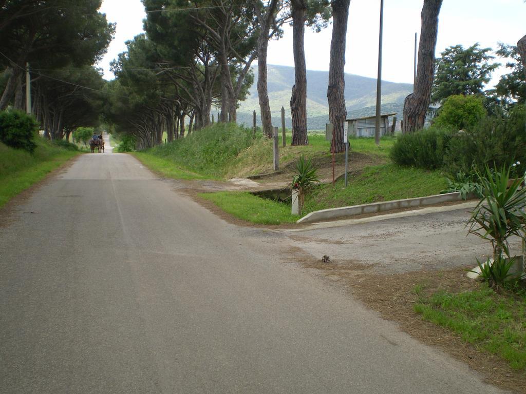 Agriturismo Ternova 알베레세 외부 사진