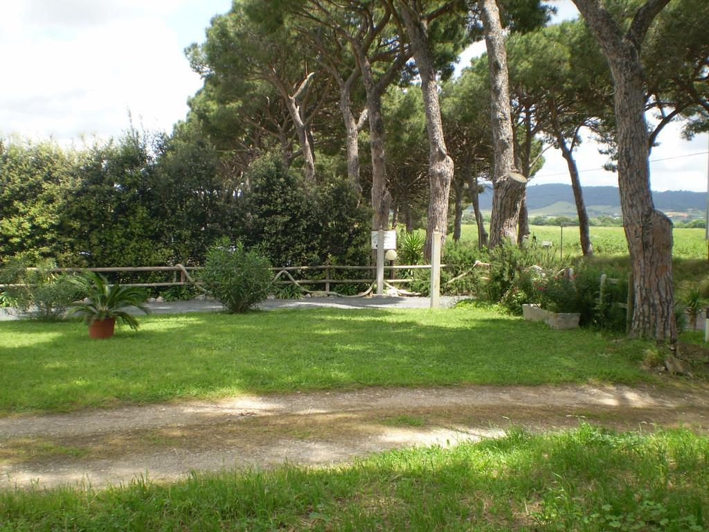 Agriturismo Ternova 알베레세 외부 사진